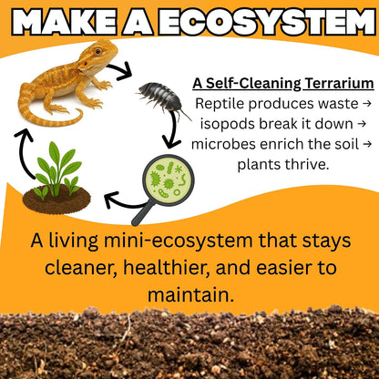 Bioactive Combo | 25 Powder Orange Isopods | 8 oz Coco Temperate Springtails | Live Delivery Guaranteed