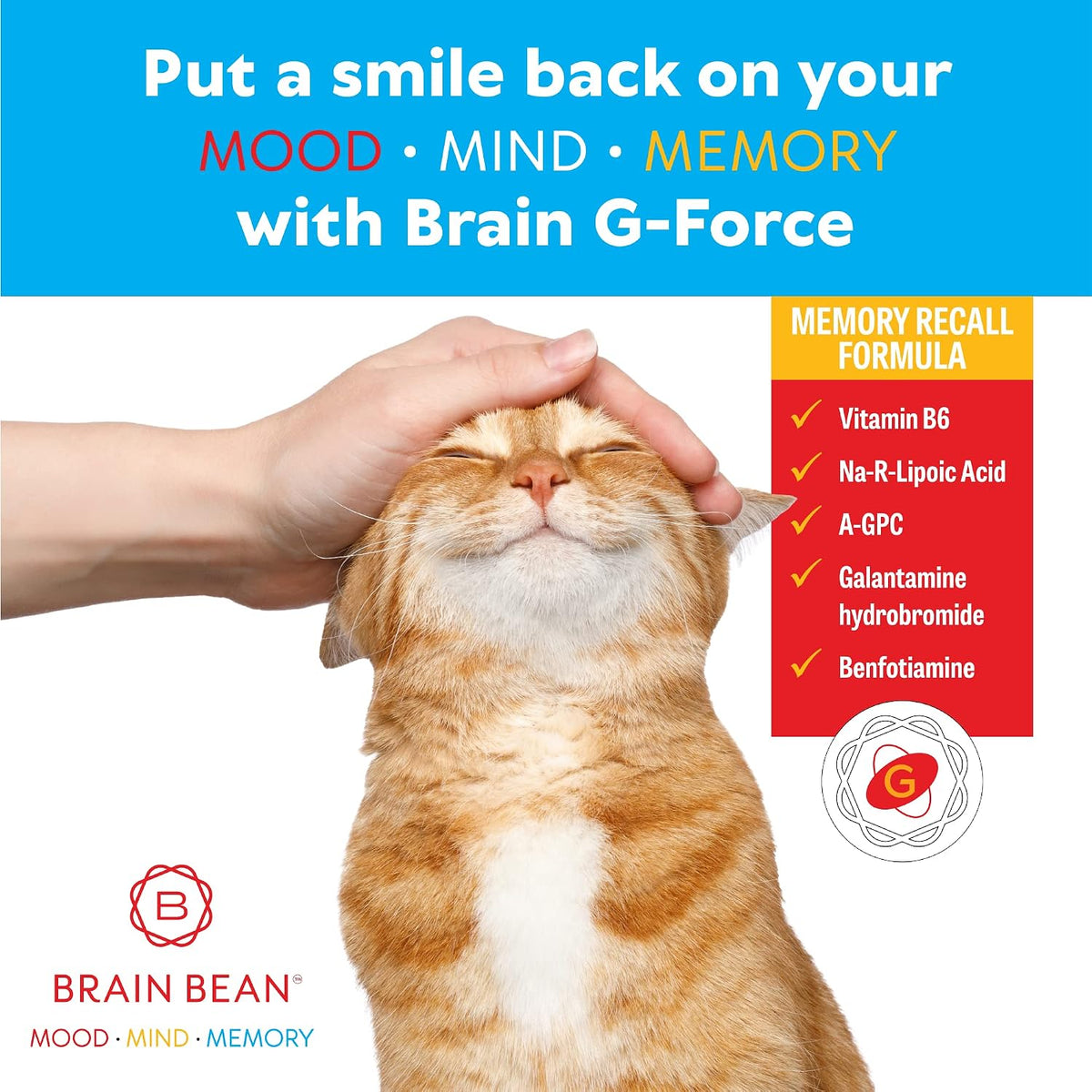 Brain G-Force - Cognitive Support Supplement with Galantamine, A-GPC, and R-Lipoic Acid (45 Servings) - görsel 5