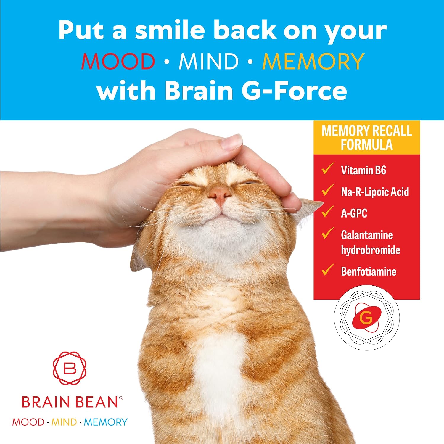 Brain G-Force - Cognitive Support Supplement with Galantamine, A-GPC, and R-Lipoic Acid (45 Servings) - görsel 5