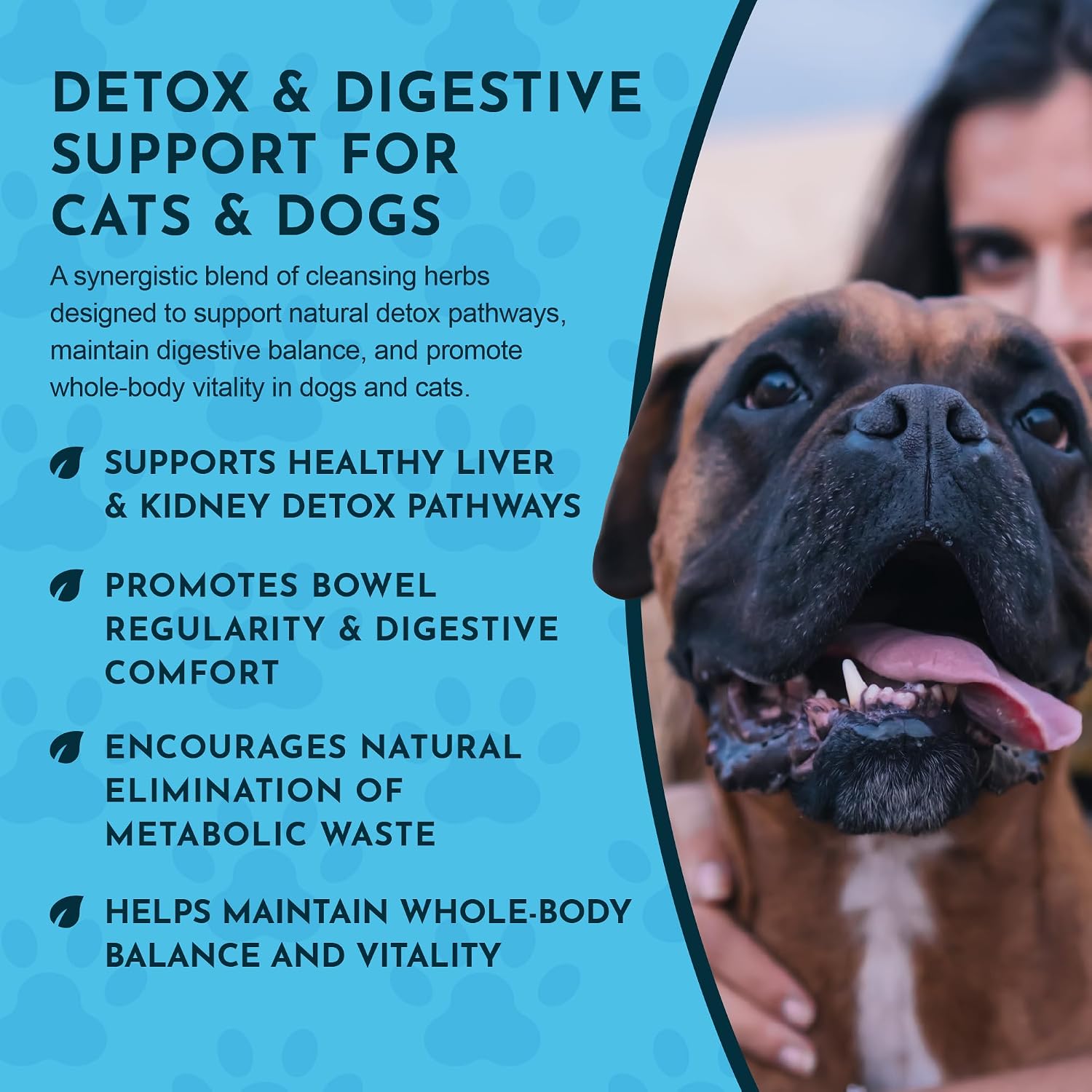 Body Cleanse Liver Support for Dogs & Cats, 60 ml - görsel 6