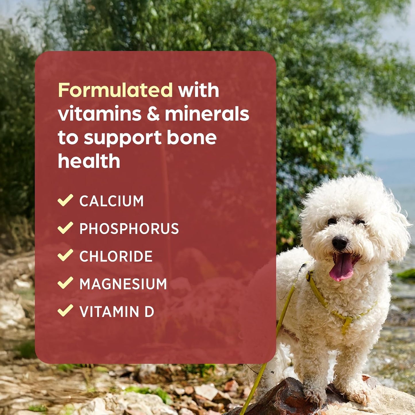 Pet-Cal Calcium, Phosphorus and Vitamin D Supplement for Dogs and Cats - 60 Chewable Tablets - görsel 5