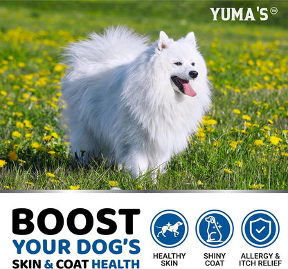YUMA'S Omega-3 Fish Oil for Dogs (2 Pack) - 170 Chews - Skin and Coat Supplement - Salmon & Chicken Flavour