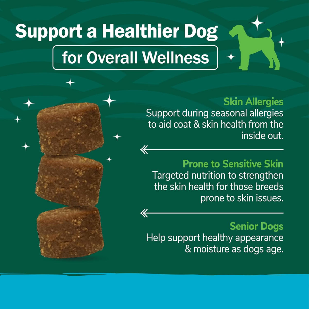 PetNC Natural Care Dog Skin and Coat Supplement, Omega-3 EPA & DHA, 60 Chewables - görsel 4