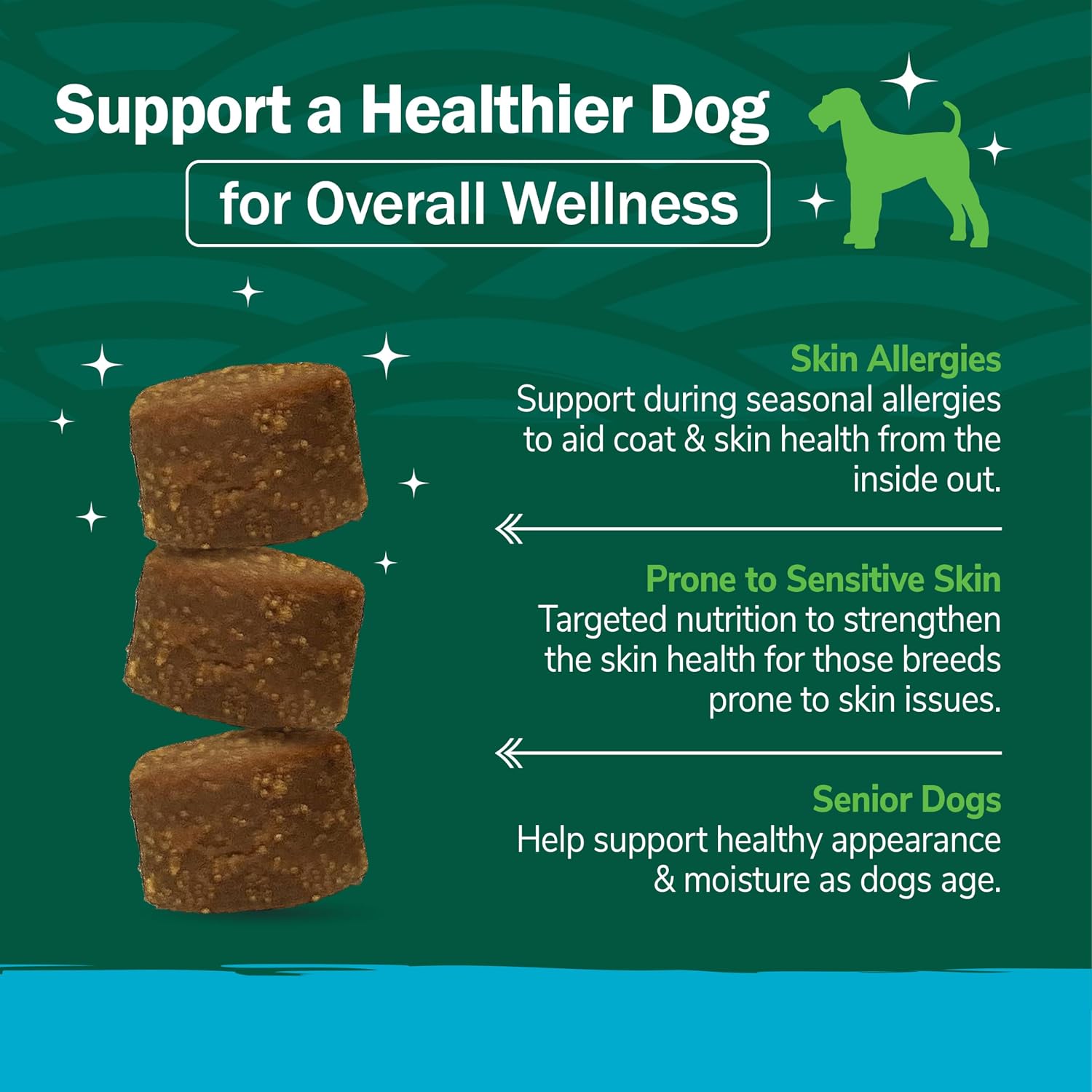 PetNC Natural Care Dog Skin and Coat Supplement, Omega-3 EPA & DHA, 60 Chewables - görsel 4