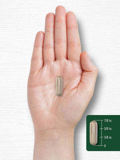 Carlyle Magnolia Bark | 180 Powder Capsules | Herbal Extract Supplement | Non-GMO, Gluten-free