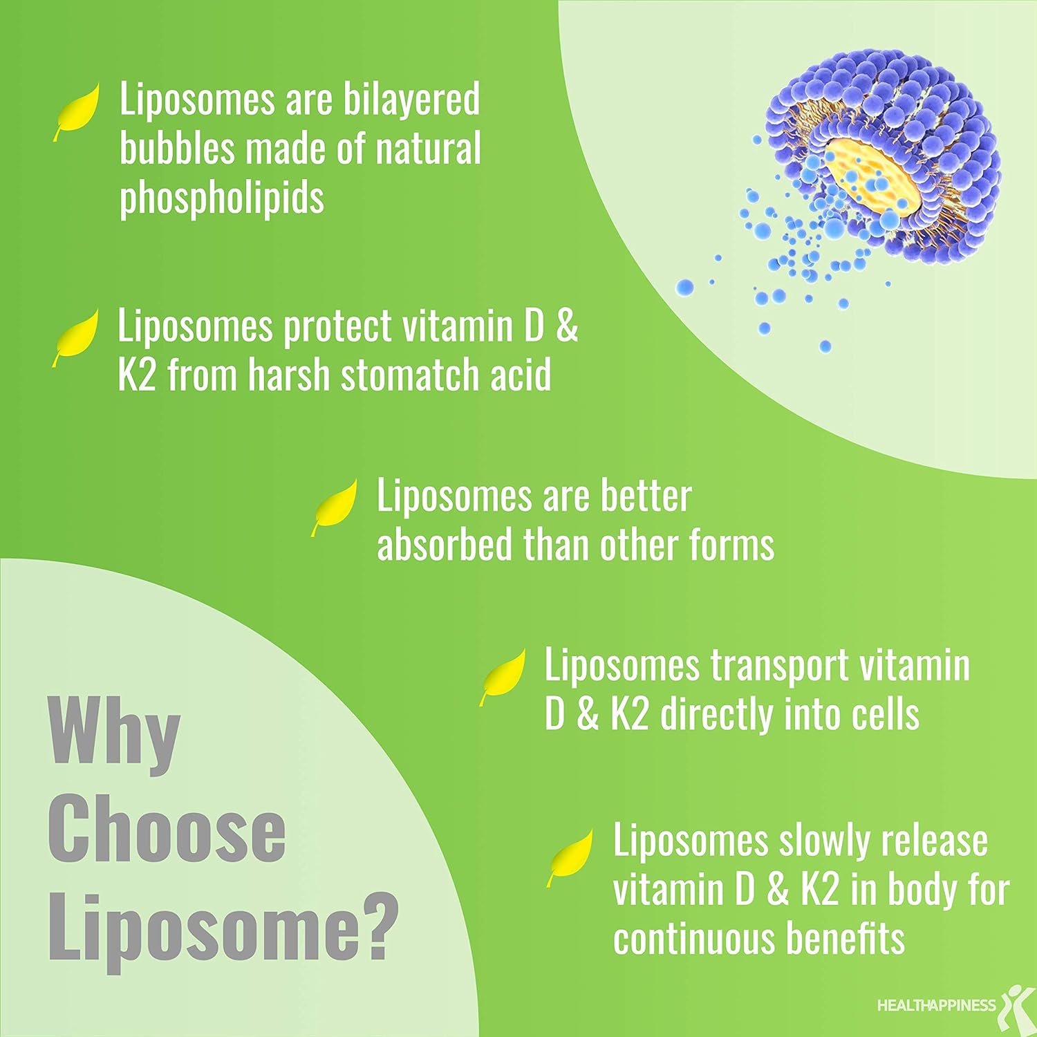 UpNourish Liposomal D3 K2 MK-7 – 365 Mini Softgels with Organic Coconut Oil - görsel 3
