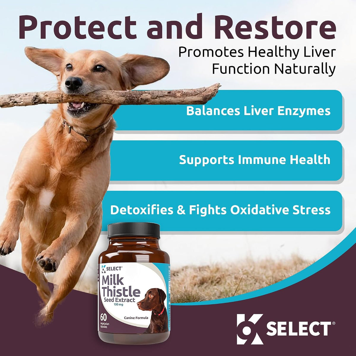 Milk Thistle for Dogs, 100mg – 60 Vegetable Capsules – Canine Liver Health Supplement - görsel 3