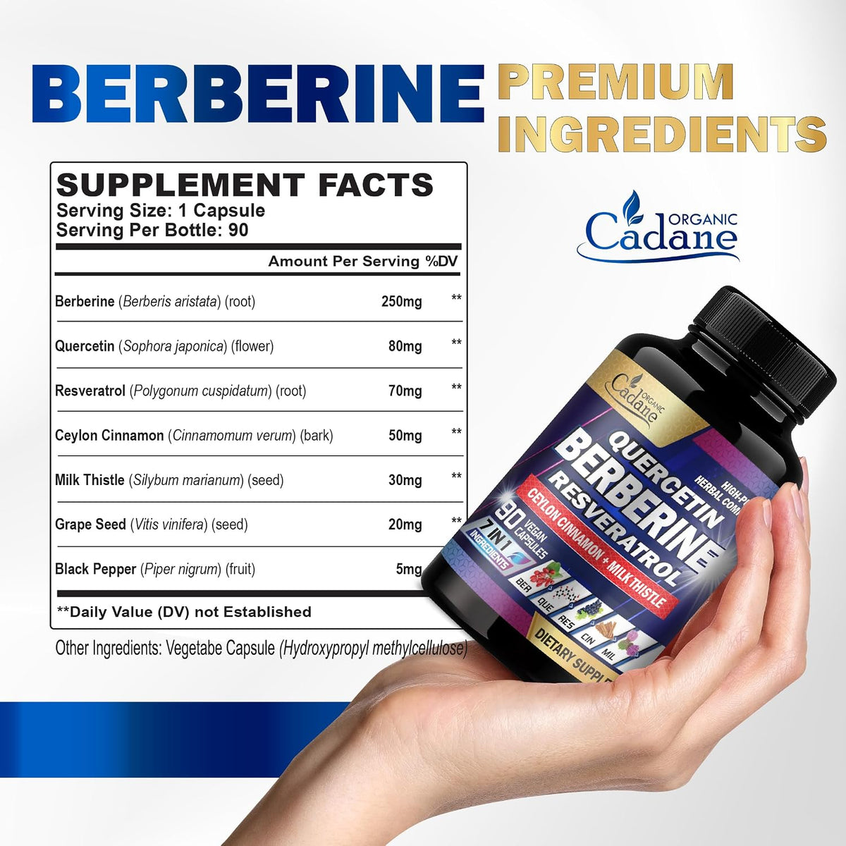 Organic Cadane 7in1 Pure Berberine Supplement with Quercetin, Ceylon Cinnamon, Resveratrol, Milk Thistle, Grape Seed & Black Pepper - 90 Capsules - görsel 5
