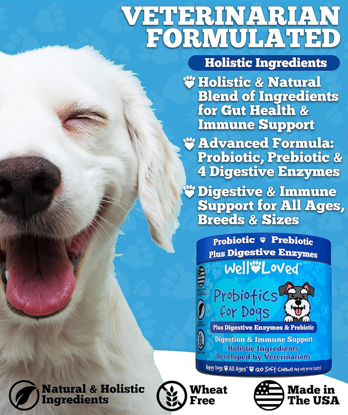 Well Loved Probiotics for Dogs – Soft Chews with Prebiotics and Digestive Enzymes - görsel 3
