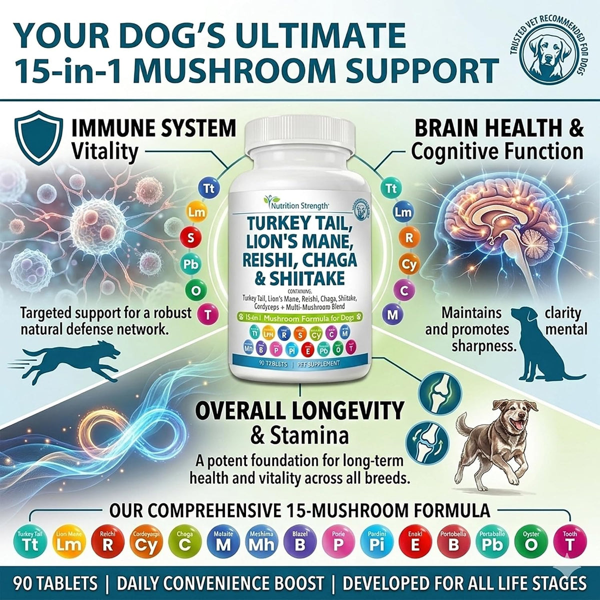 Nutrition Strength 15-in-1 Mushroom Support for Dogs | Immune System and Cognitive Health | 90 Chewable Tablets - görsel 8