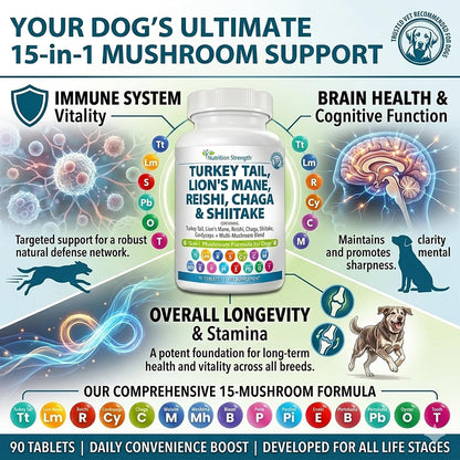Nutrition Strength 15-in-1 Mushroom Support for Dogs | Immune System and Cognitive Health | 90 Chewable Tablets