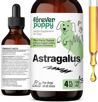 Forever Puppy Astragalus Root Drops for Dogs - Immune Support - 118 ml