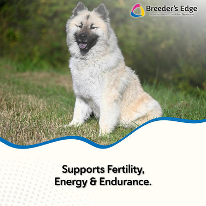 Breeder's Edge Oxy Stud Male Supplement Multivitamin - Soft Chews for Dogs and Cats (60 Count)