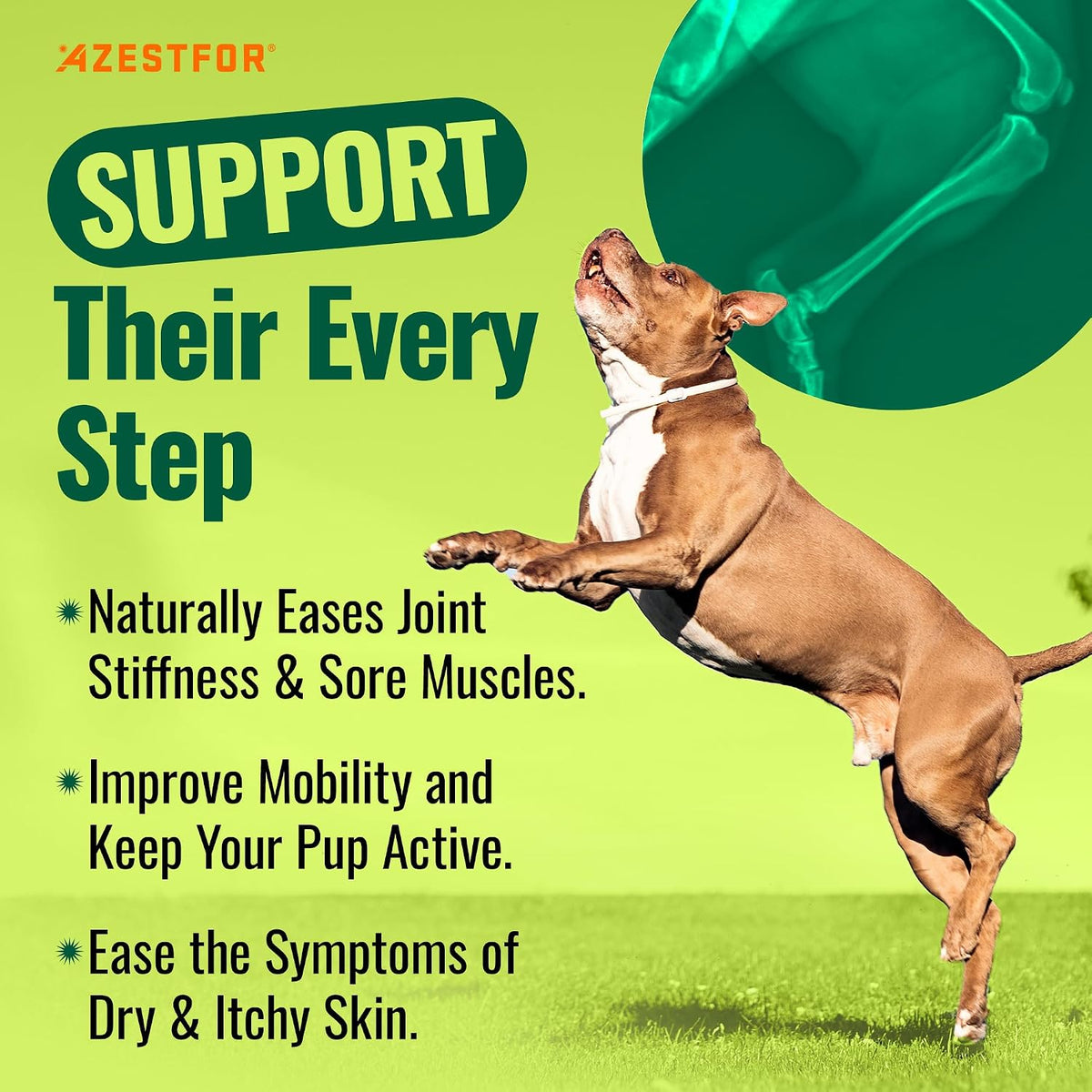 Azestfor Green Lipped Mussel Powder for Dogs - görsel 3