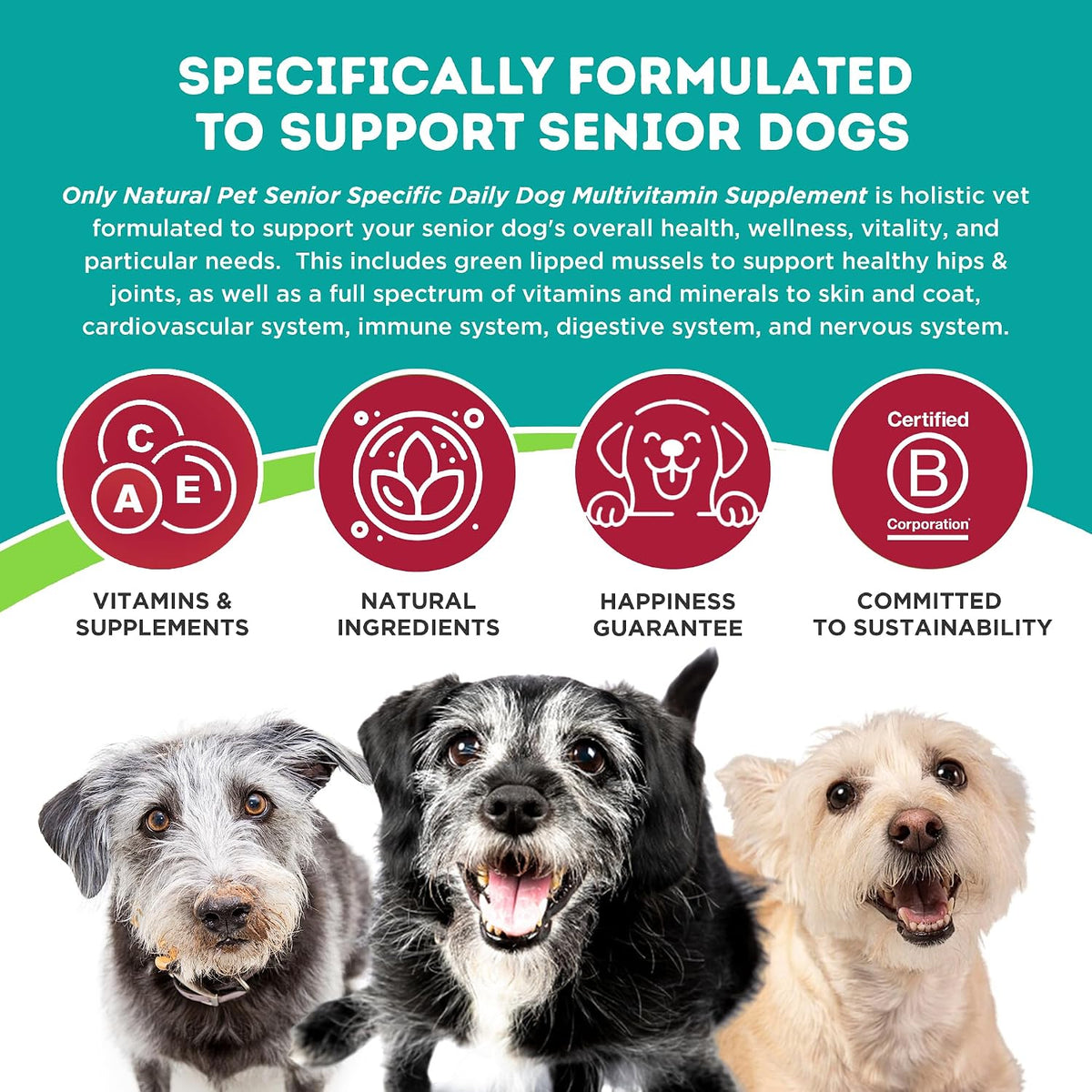 Only Natural Pet Senior Ultimate Daily Canine Vitamin Supplement - 150 g Turkey Flavour Powder - görsel 2