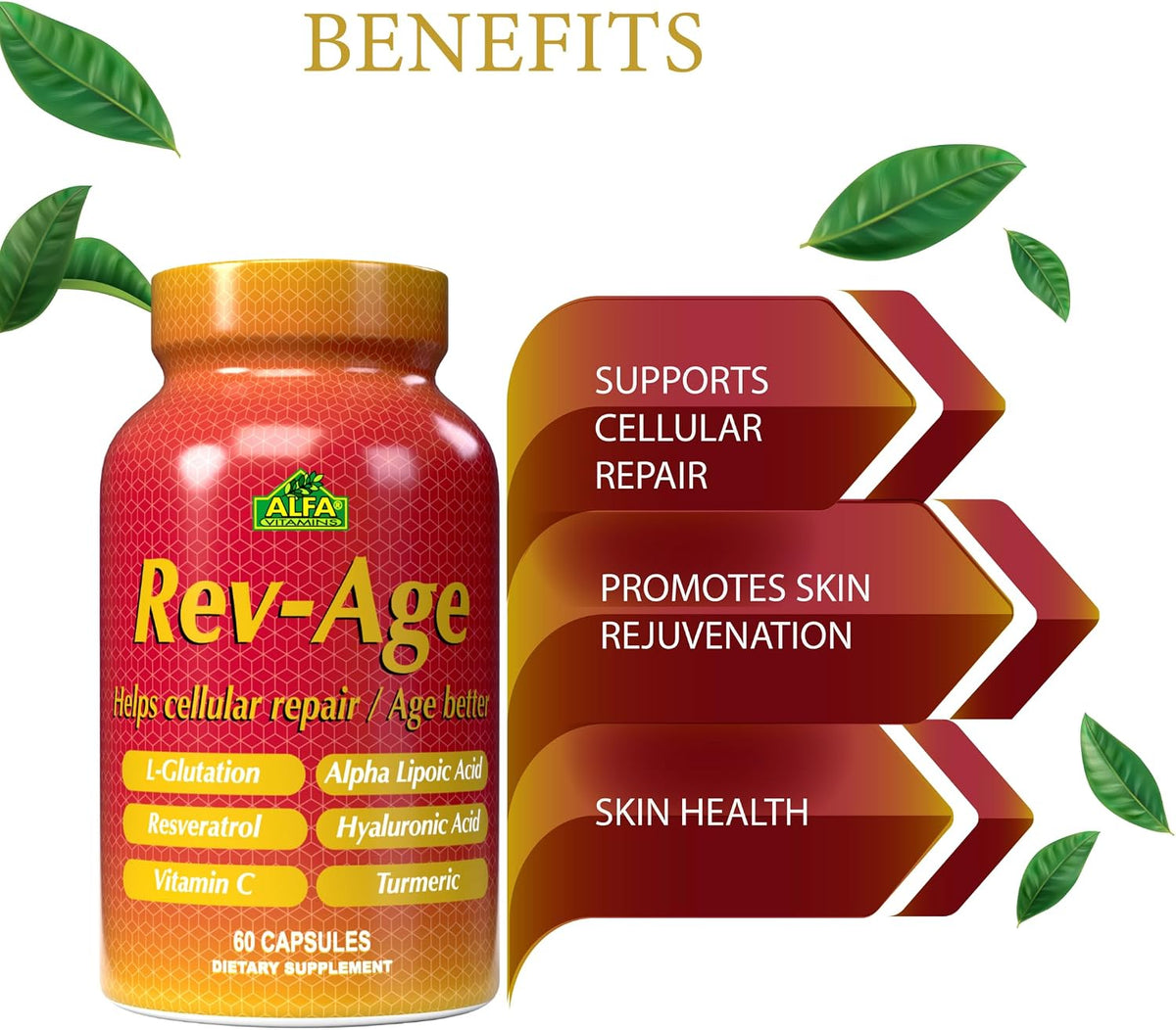 ALFA VITAMINS Rev-Age Cellular Repair Supplement - 60 Capsules - görsel 3