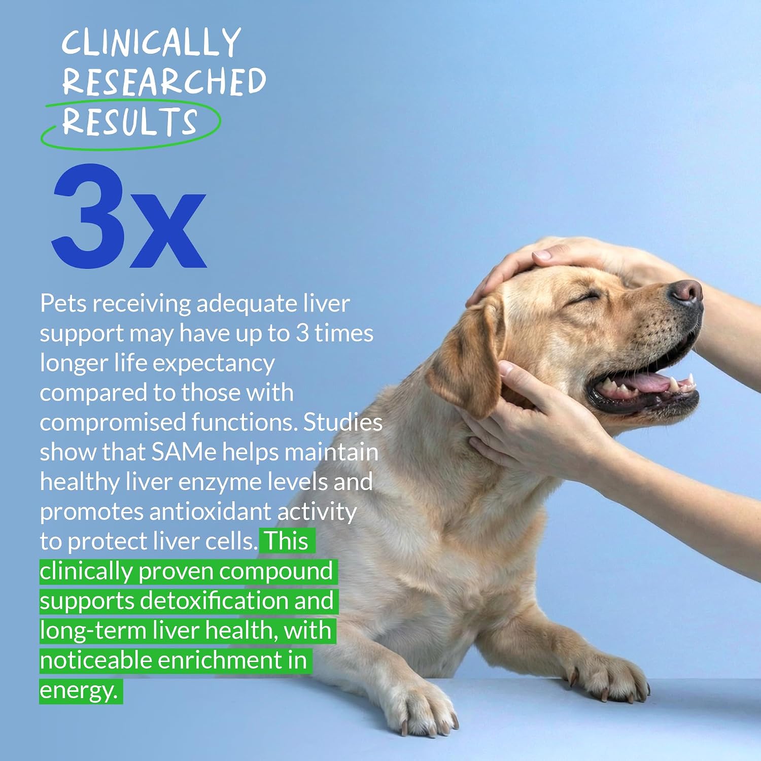 SAMe for Dogs 90 Soft Chews - Liver, Brain & Cognitive Support | S-Adenosyl-L-Methionine in 90 soft chews. Promotes liver function, cognitive support & mood balance for dogs. - görsel 4
