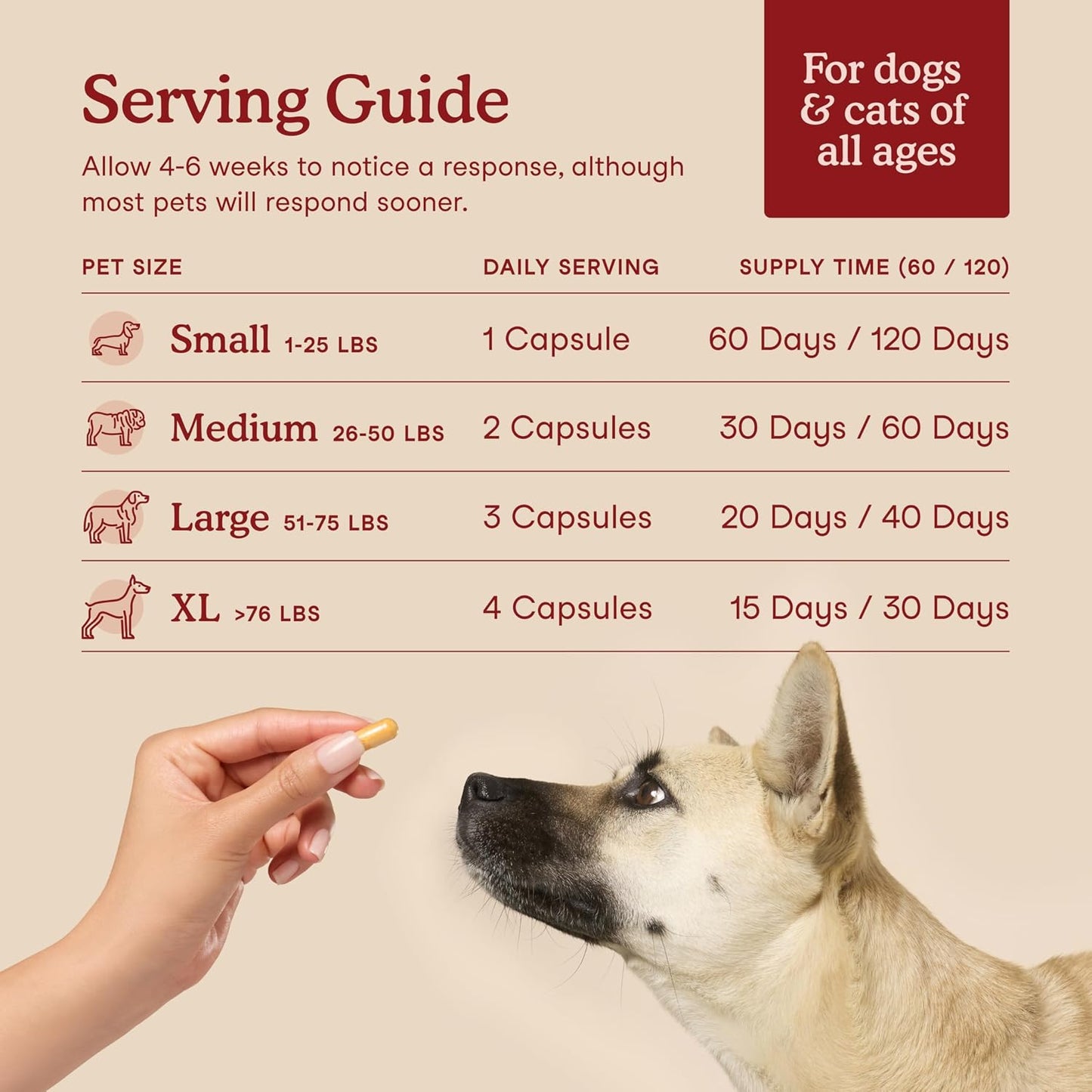 Fera Pets Cardiac Support for Dogs and Cats - 60 Capsules - görsel 5