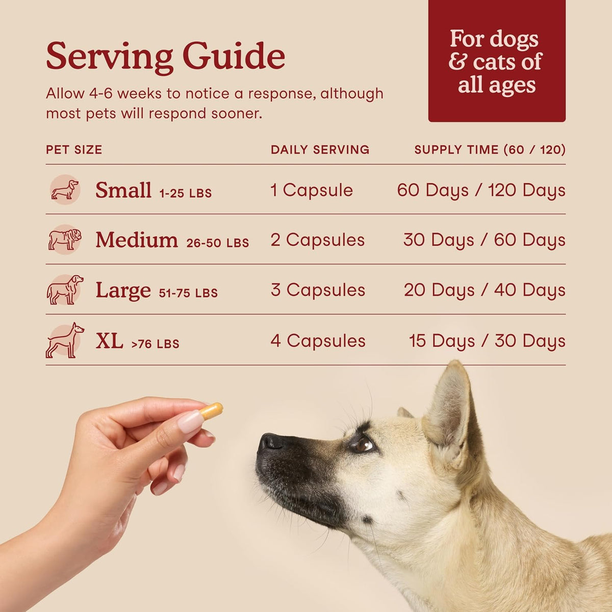 Fera Pets Cardiac Support for Dogs and Cats - 60 Capsules - görsel 5
