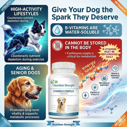 Nutrition Strength Vitamin B Complex for Dogs – for Blood Cell & Nervous System Support, 120 Chewable Tablets