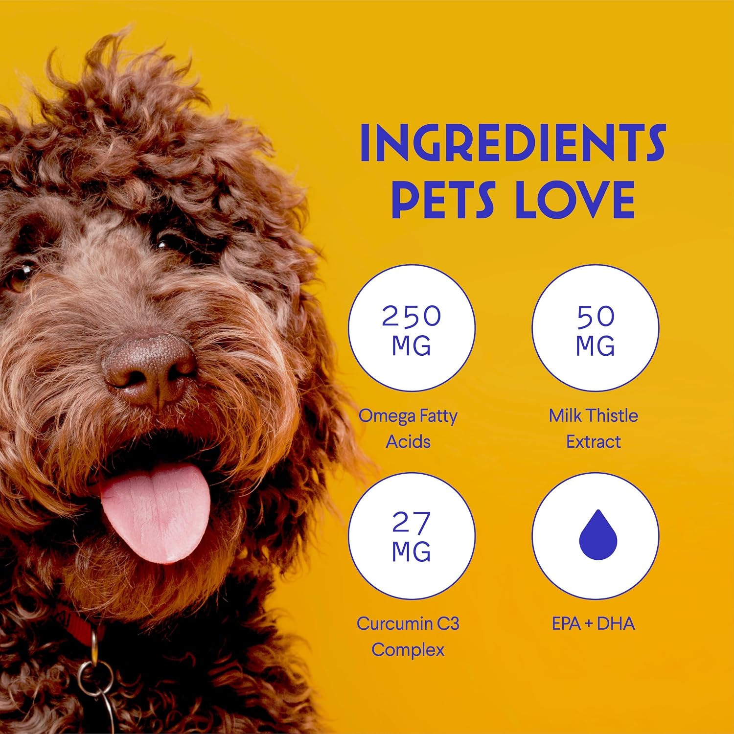 Wonder Paws Milk Thistle for Dogs – with Salmon Oil & Curcumin (60 ml) - görsel 5