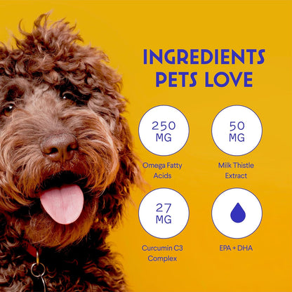 Wonder Paws Milk Thistle for Dogs – with Salmon Oil & Curcumin (60 ml)
