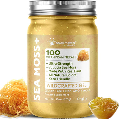 Wellness Labs RX Irish Sea Moss Gel Raw - Wildcrafted Superfood Seamoss Gel - Original Flavour, Vitamin and Mineral-Rich from Pristine Caribbean Waters, Wellness and Digestive Health Support - 10 oz.