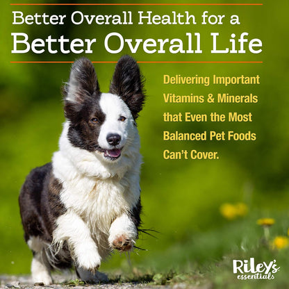 Riley's Multi-Essentials Multivitamin for Dogs - Vitamins, Minerals, Spirulina, Kelp, and Milk Thistle - Puppy and Senior Dog Vitamins - 227g Powder