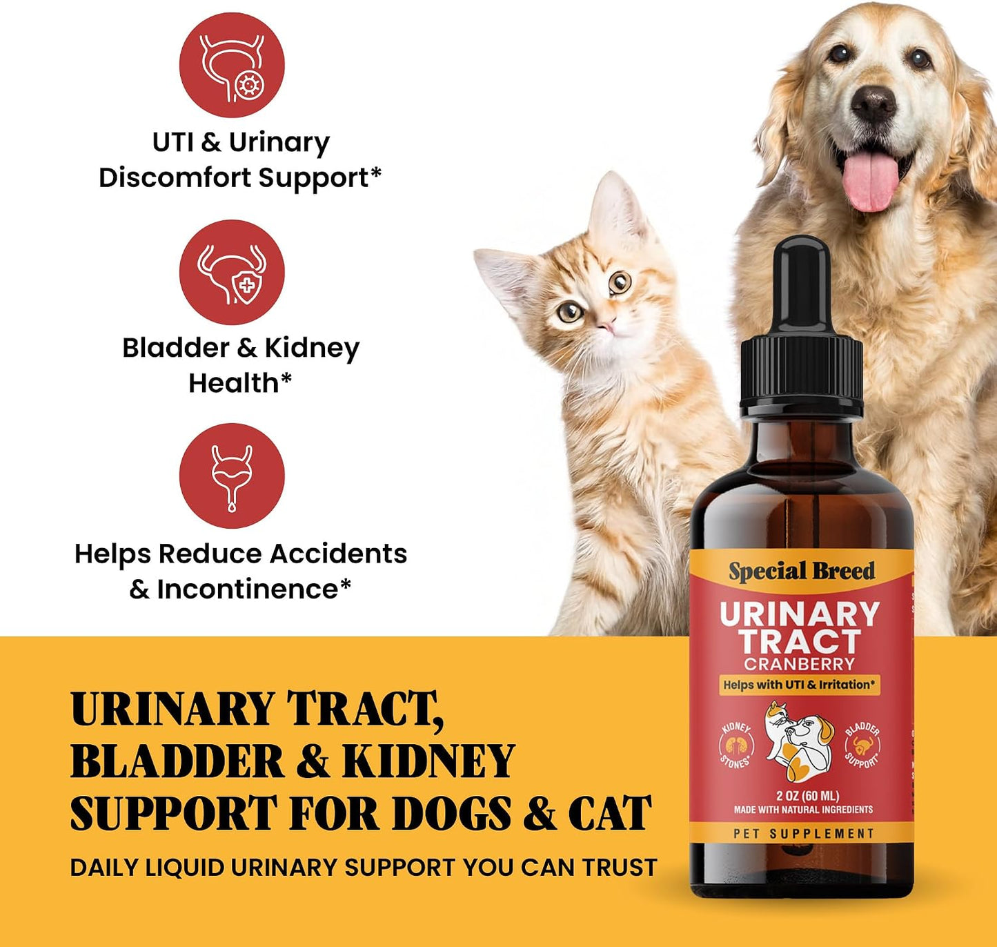Special Breed Cat & Dog Urinary Tract Infection Treatment – Natural UTI Relief with Cranberry Drops – Kidney & Bladder Support – Helps Incontinence, Frequent Urination, Bladder Stones – Pet Renal Care Drops - görsel 2