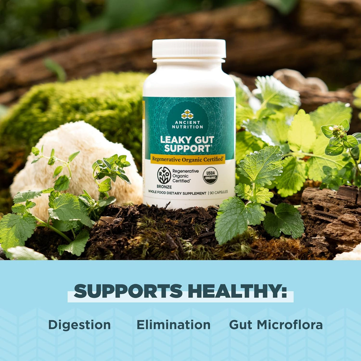 Ancient Nutrition Gut Health Supplement – Regenerative Organic Certified Leaky Gut Capsules with Lion’s Mane, Fermented Liquorice Root & Spearmint, Gluten-free, Paleo & Keto Friendly, 90 Capsules - görsel 3