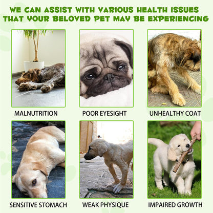 Liquid Dog Probiotic, Natural 3 in 1 Probiotic for Dogs, Digestive Support, Gut Health – 60ml