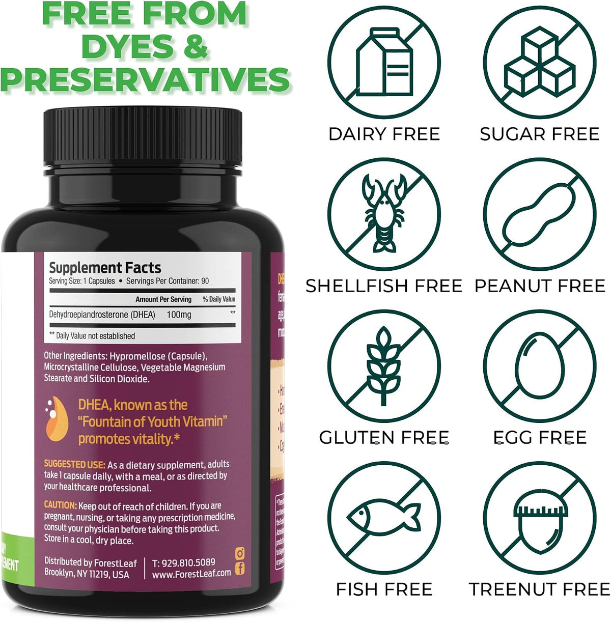 ForestLeaf DHEA 100mg – Micronised DHEA Supplement – Supports Energy, Hormone Balance & Healthy Ageing – 90 Capsules - görsel 4