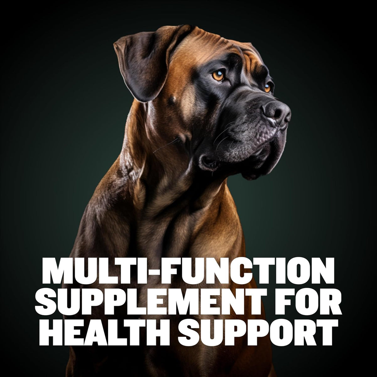 Bully Max 9-in-1 Dog Multivitamin, 75 Soft Chews - görsel 3