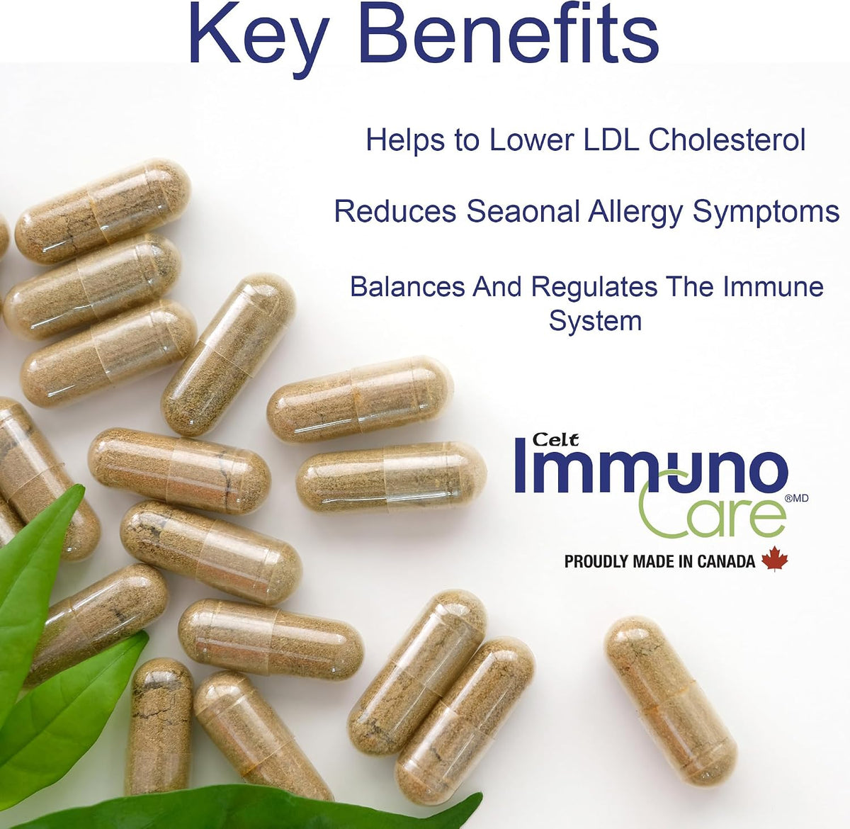 Celt Immunocare 60 v-caps - Immune Support & Seasonal Allergy Blend - görsel 6