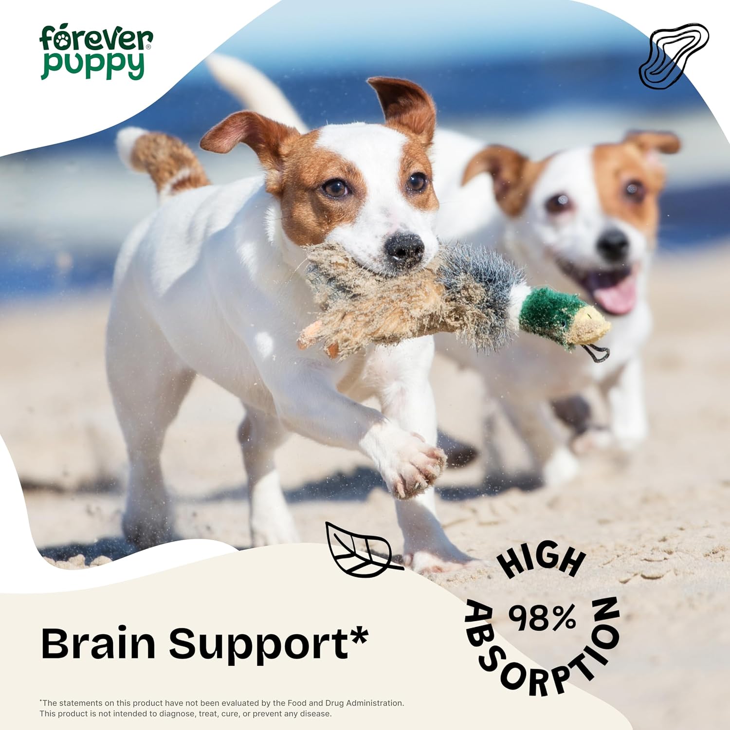 Gotu Kola Drops for Dogs – Centella Asiatica & Gotu Kola Extract for Brain Health Support – Liquid Brain Supplement for Dogs of All Breeds & Sizes – 60 ml - görsel 2