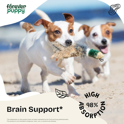 Gotu Kola Drops for Dogs – Centella Asiatica & Gotu Kola Extract for Brain Health Support – Liquid Brain Supplement for Dogs of All Breeds & Sizes – 60 ml