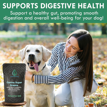 Holistic Bin Canine Super Greens Plant-Based Dog Food Topper | Nutrient-Rich Supplement Powder | Gut Balance, Joint Strength, Digestion, Fresh Breath & Overall Canine Wellness | Greens Powder (50g)