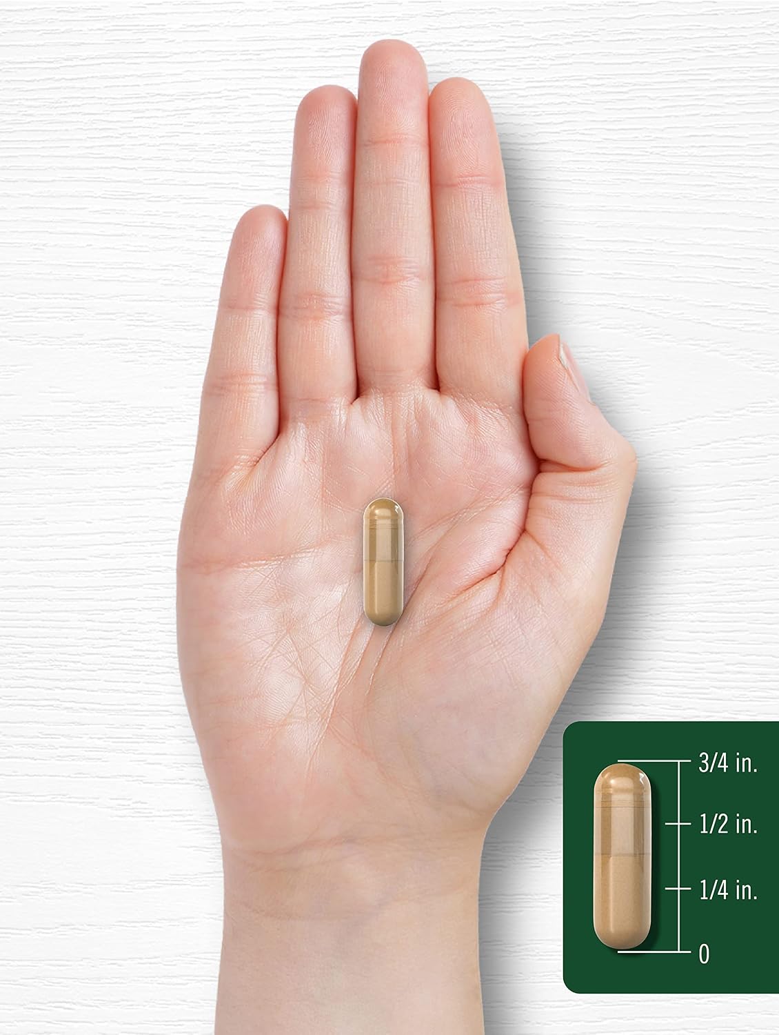 Carlyle Coleus Forskohlii Capsules | 100 Capsules | Standardised Forskolin Extract Supplement | Non-GMO & Gluten-free - görsel 7