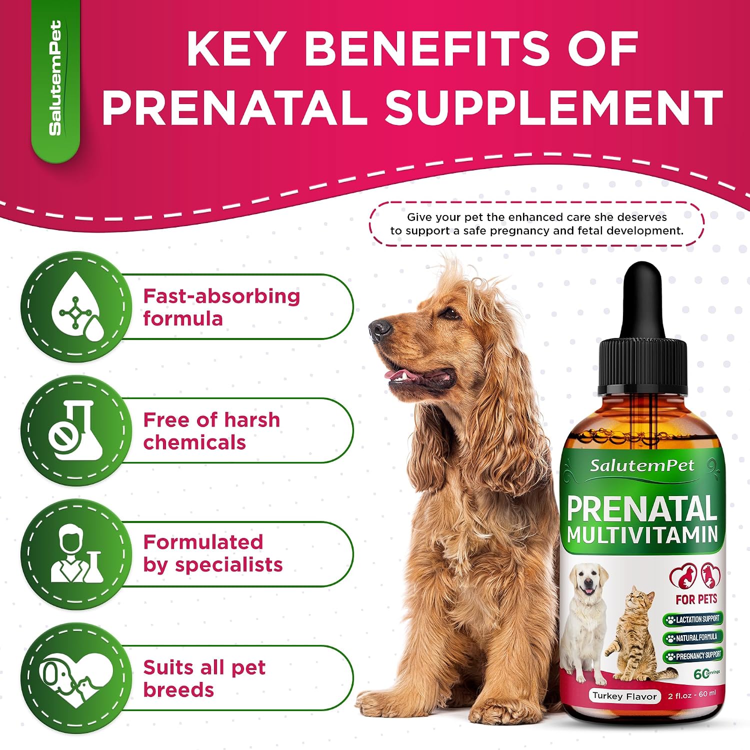 SalutemPet Dog Prenatal Vitamins – Liquid Multivitamin for Pregnant & Lactating Dogs & Cats – All Breeds – 2 fl oz (60 ml) - görsel 7