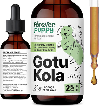 Gotu Kola Drops for Dogs – Centella Asiatica & Gotu Kola Extract for Brain Health Support – Liquid Brain Supplement for Dogs of All Breeds & Sizes – 60 ml