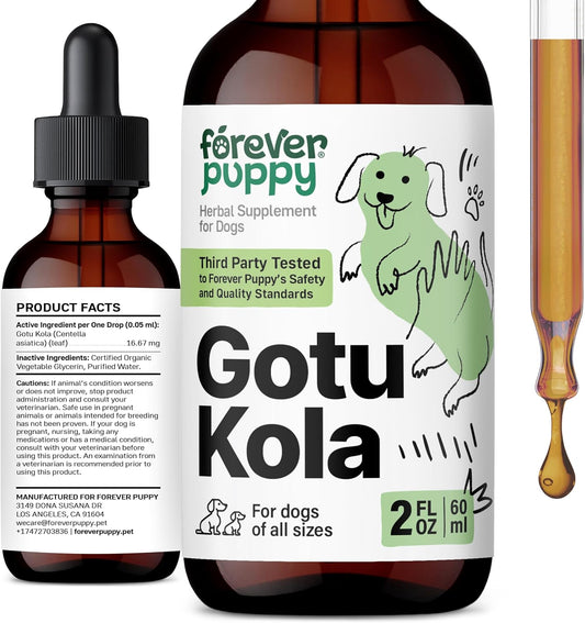 Gotu Kola Drops for Dogs – Centella Asiatica & Gotu Kola Extract for Brain Health Support – Liquid Brain Supplement for Dogs of All Breeds & Sizes – 60 ml