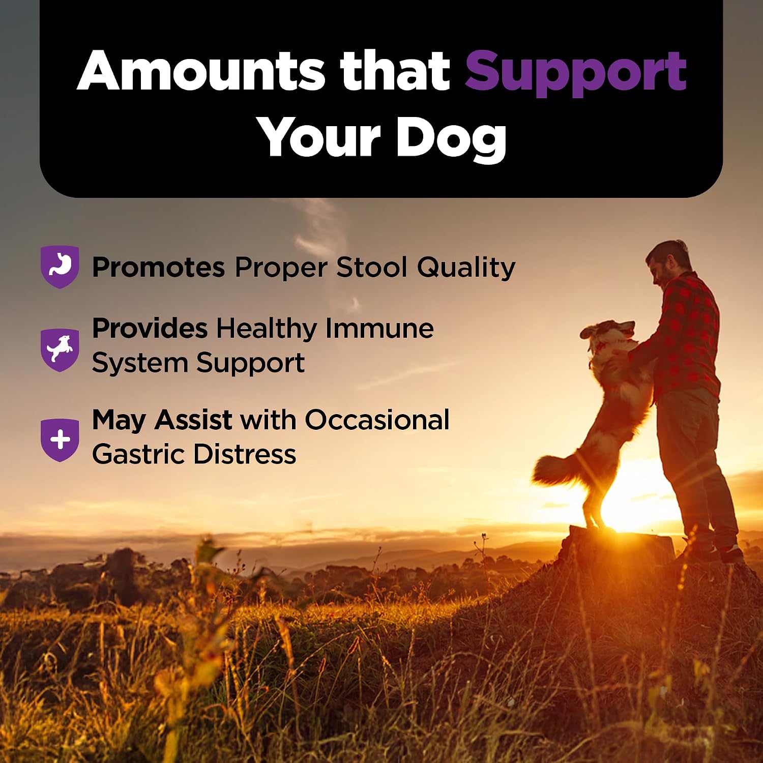 Nutri-Vet Pre & Probiotics for Dogs, Digestive Support, 120 Soft Chews (Liver & Cheese Flavour) - görsel 5