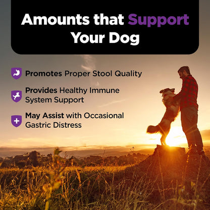 Nutri-Vet Pre & Probiotics for Dogs, Digestive Support, 120 Soft Chews (Liver & Cheese Flavour)
