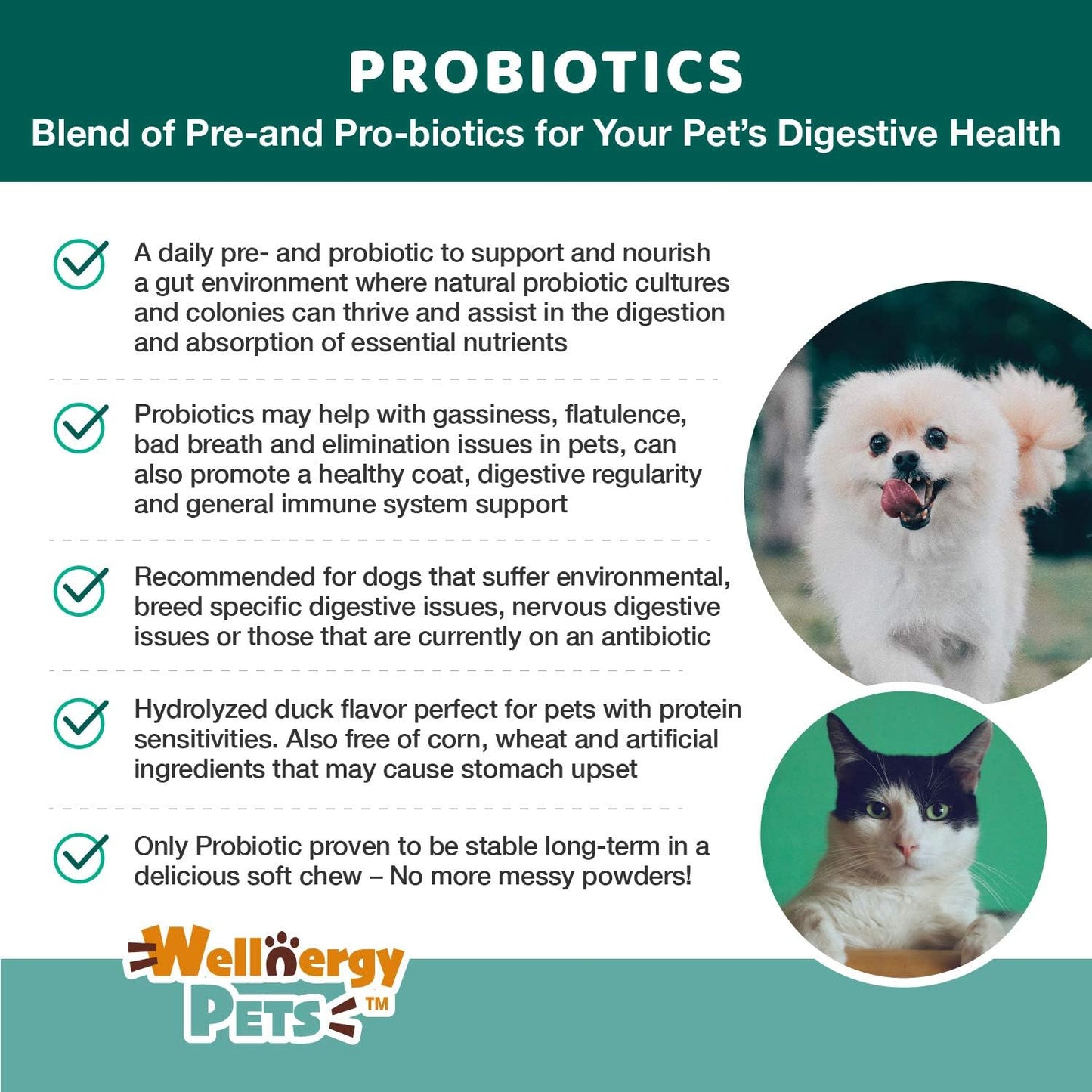 Wellnergy Daily Probiotic & Prebiotics Soft Chew for Dogs and Cats (60 Chews) - görsel 4