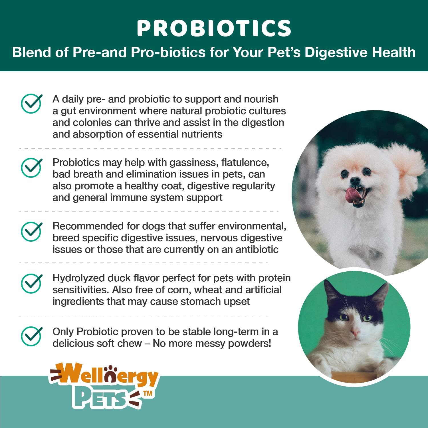 Wellnergy Daily Probiotic & Prebiotics Soft Chew for Dogs and Cats (60 Chews) - görsel 4