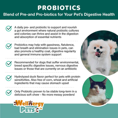 Wellnergy Daily Probiotic & Prebiotics Soft Chew for Dogs and Cats (60 Chews)