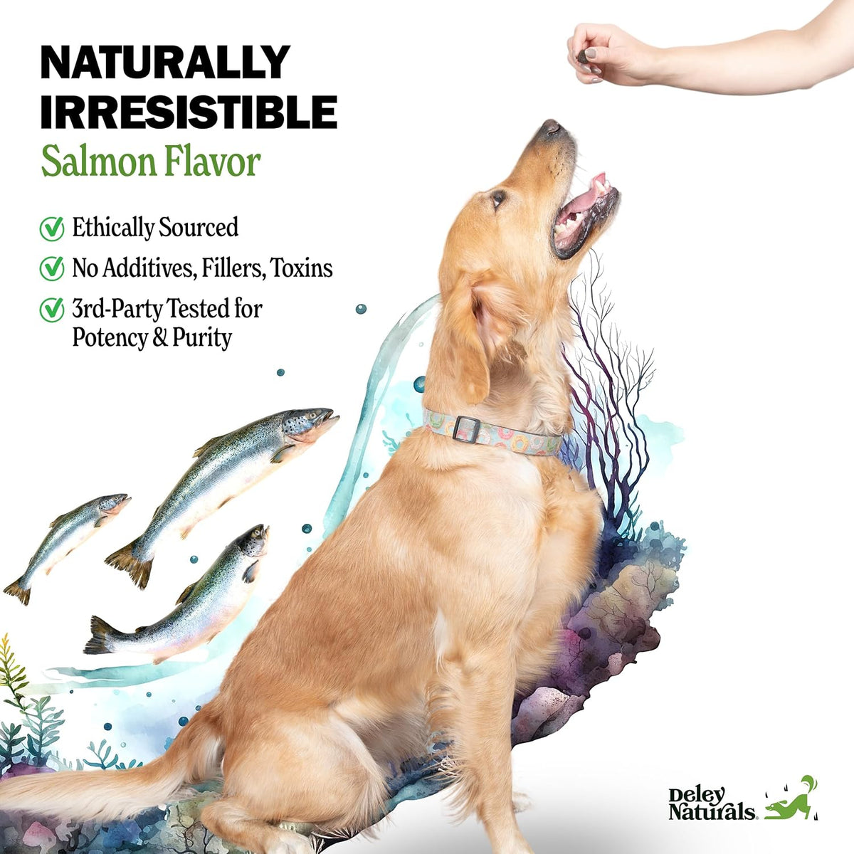 Deley Naturals Skin & Coat Chews for Dogs - Omega-3 Fish Oil, Biotin & Collagen - 90 Soft Chews - görsel 4