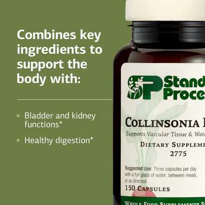 Standard Process Collinsonia Root – Vascular Tissue and Kidney Health Supplement, 150 Capsules