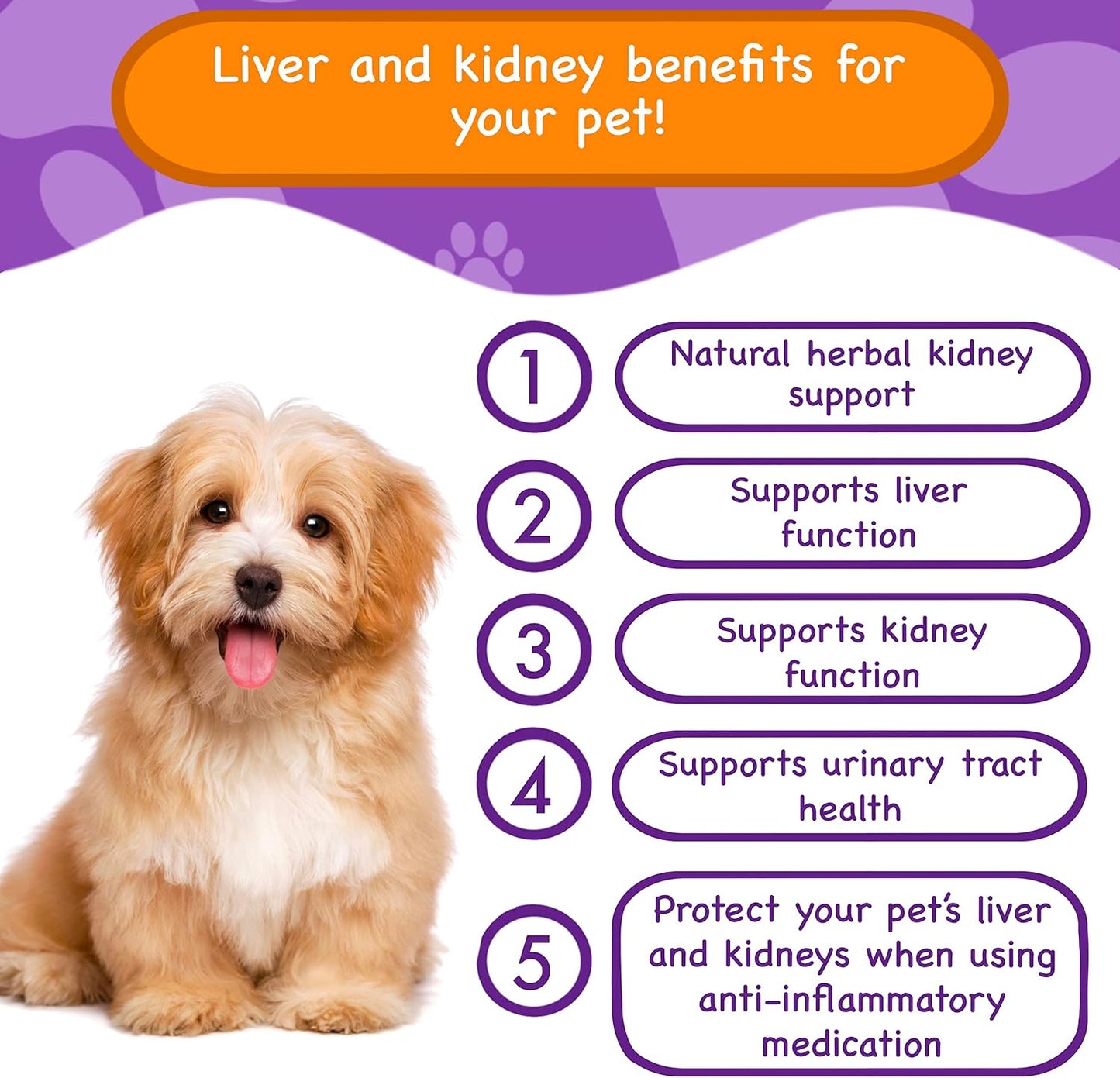 PawPuk Paws Liver & Kidney Vitamins Supplements for Dogs, SAM-e & Silymarin - Liver Function, NMN & CoQ10 - Anti-Ageing, Rehmannia & Rhubarb - Natural Herbal Kidney Support, Cranberry - Urinary Tract Health - görsel 2