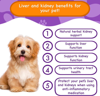 PawPuk Paws Liver & Kidney Vitamins Supplements for Dogs, SAM-e & Silymarin - Liver Function, NMN & CoQ10 - Anti-Ageing, Rehmannia & Rhubarb - Natural Herbal Kidney Support, Cranberry - Urinary Tract Health